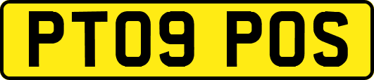 PT09POS