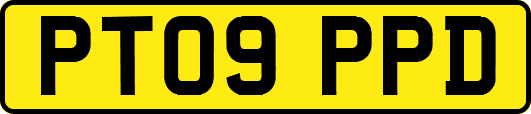PT09PPD