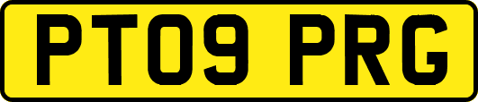 PT09PRG