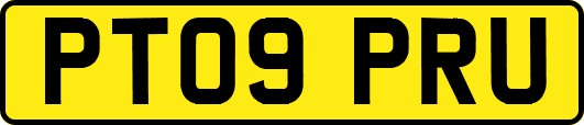 PT09PRU