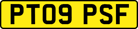 PT09PSF