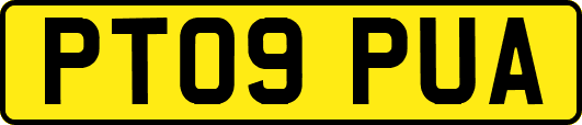 PT09PUA