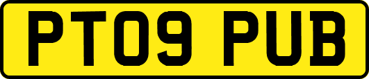 PT09PUB