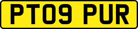 PT09PUR