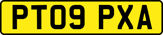 PT09PXA