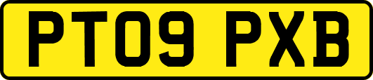 PT09PXB