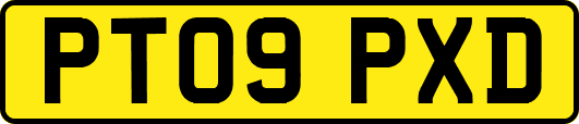 PT09PXD