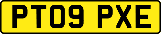 PT09PXE