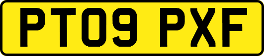 PT09PXF