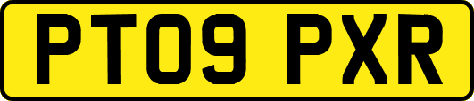 PT09PXR
