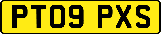 PT09PXS