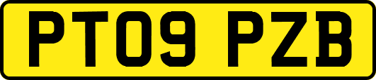 PT09PZB