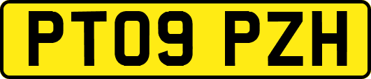 PT09PZH