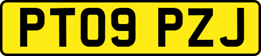 PT09PZJ
