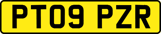 PT09PZR