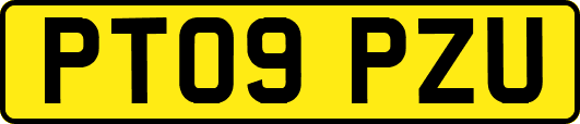 PT09PZU