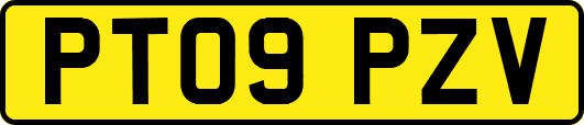 PT09PZV