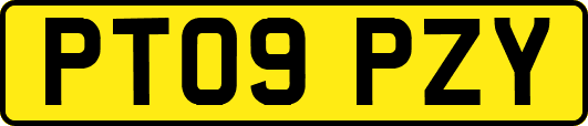 PT09PZY