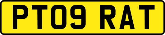 PT09RAT