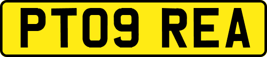 PT09REA