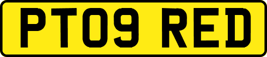 PT09RED