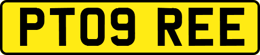 PT09REE