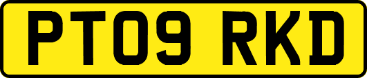 PT09RKD
