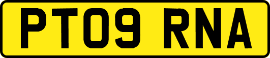 PT09RNA