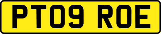 PT09ROE