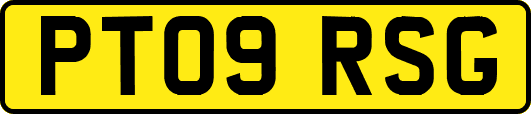 PT09RSG