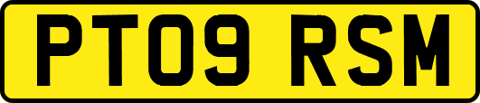 PT09RSM