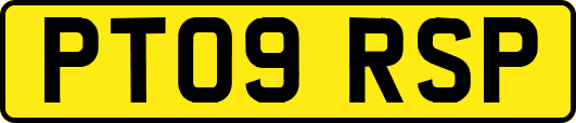 PT09RSP