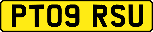 PT09RSU