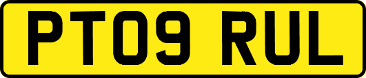 PT09RUL