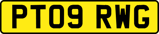 PT09RWG