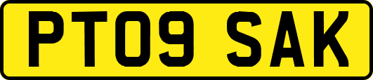 PT09SAK