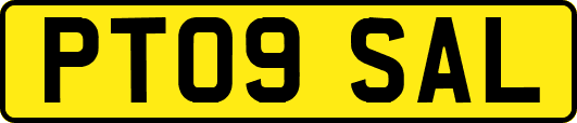 PT09SAL