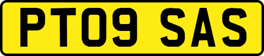 PT09SAS
