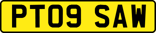 PT09SAW