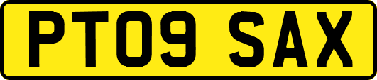 PT09SAX