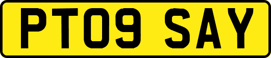 PT09SAY
