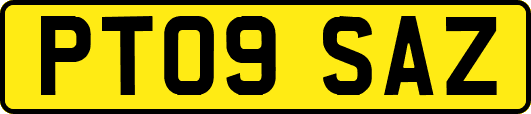 PT09SAZ