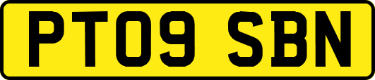 PT09SBN