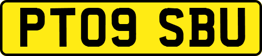 PT09SBU