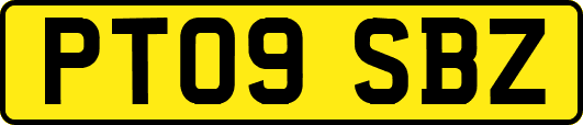 PT09SBZ