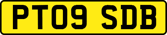 PT09SDB