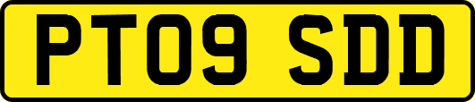 PT09SDD