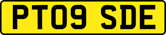 PT09SDE