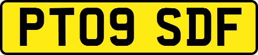 PT09SDF