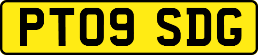 PT09SDG